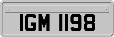 IGM1198