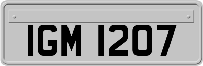 IGM1207