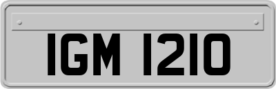 IGM1210