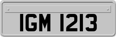IGM1213