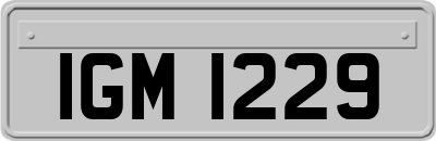IGM1229
