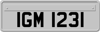 IGM1231