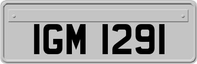 IGM1291