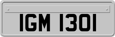 IGM1301
