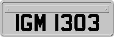 IGM1303