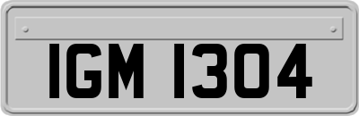 IGM1304