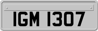 IGM1307