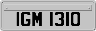 IGM1310