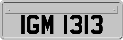 IGM1313