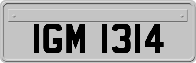 IGM1314