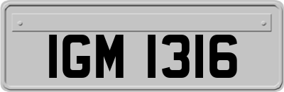 IGM1316