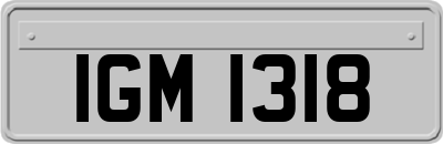IGM1318