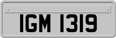 IGM1319