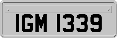 IGM1339