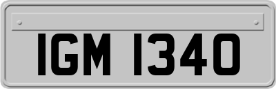 IGM1340