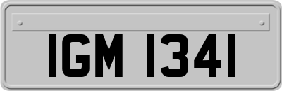 IGM1341
