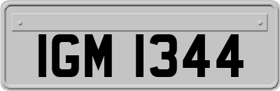 IGM1344