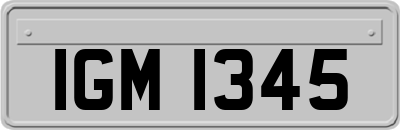 IGM1345