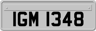 IGM1348