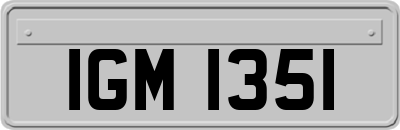 IGM1351