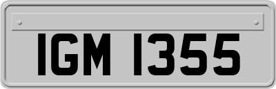 IGM1355