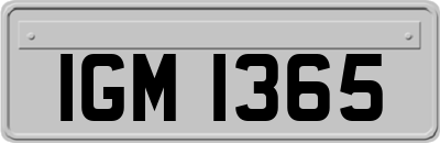 IGM1365