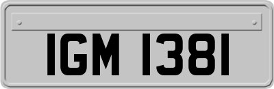 IGM1381
