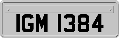 IGM1384