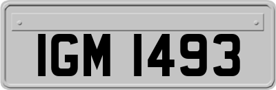 IGM1493