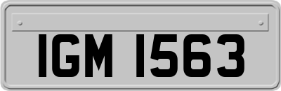 IGM1563