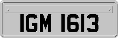 IGM1613