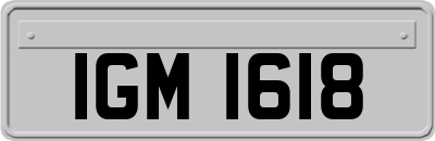 IGM1618