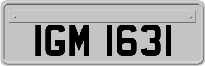 IGM1631