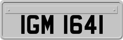 IGM1641