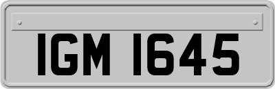 IGM1645