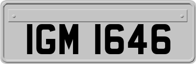 IGM1646