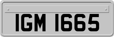 IGM1665