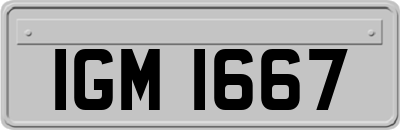 IGM1667