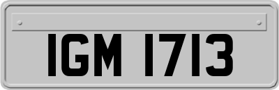 IGM1713