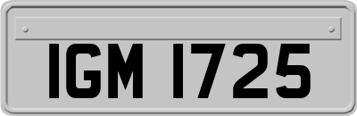 IGM1725