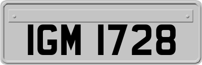 IGM1728