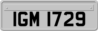 IGM1729