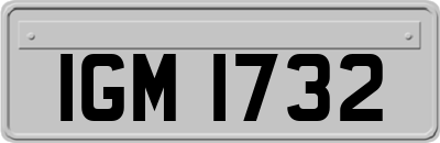IGM1732