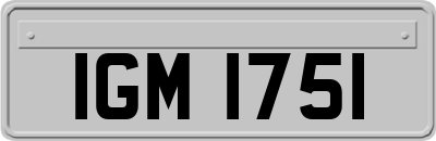 IGM1751