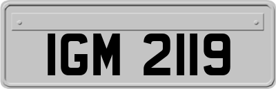 IGM2119