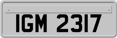 IGM2317
