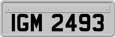 IGM2493