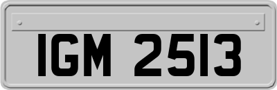 IGM2513