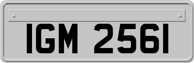 IGM2561