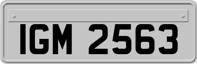 IGM2563